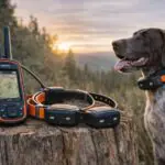 Garmin Alpha dog tracker setup with handheld device, GPS collars, and hunting dog in outdoor environment