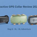 Tractive GPS Collar Review comparison image showing Dog 6, XL, and XL Adventure models side by side