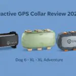 Tractive GPS Review image showing Dog 6, XL, and XL Adventure models side by side