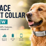 PetPace Smart Collar review image showing a dog wearing the PetPace health monitoring smart collar with GPS and wellness tracking features